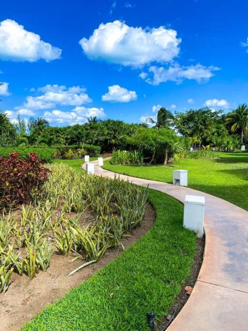 Punta Me Luxury Apartments Ocean View & Beach Front In Amara カンクン エクステリア 写真